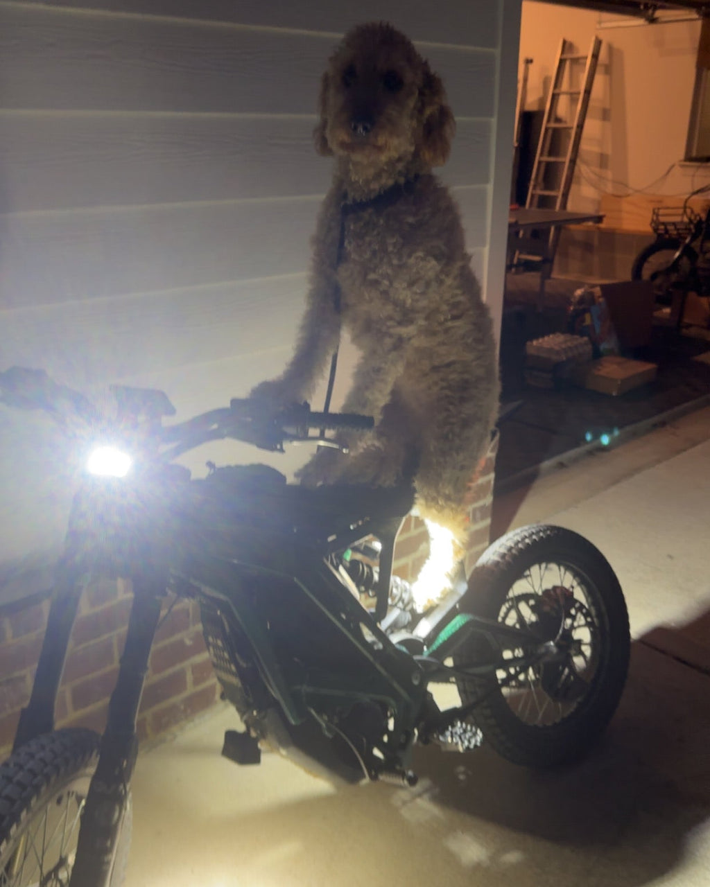 P&P Rocklight for Emoto 72 LED